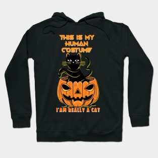 This Is My Human Costume I'm Really A Cat Pumkin Halloween Hoodie